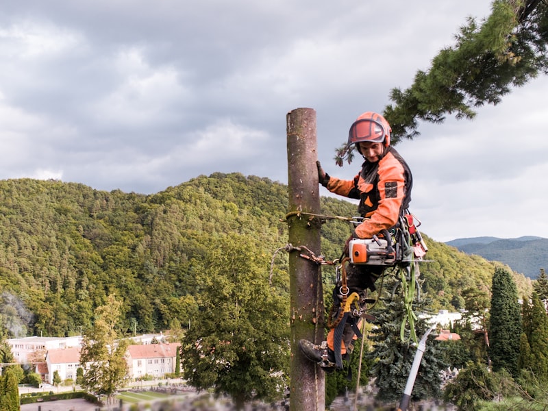 Tree Service professionals in Lafayette